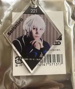 ブルステ　アクキー　凪