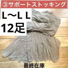 Item thumbnail for item abce6956-d390-4988-9e51-e384e423b96e