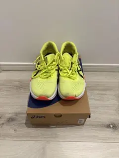 Item thumbnail for item 6d7a47a2-c1e9-4589-84af-c5df4ced8929