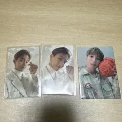 SEVENTEEN あいのちから　ドギョムトレカ