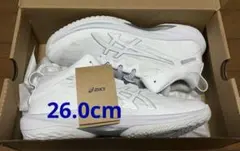 バスケットボールシューズ GELHOOP V17 26.0cm