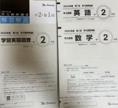 2025年 学力推移調査　中学1年生　最新版　 ちしゃ様 2026年最新】学力推移調査 中学1年の人気アイテム - メルカリ