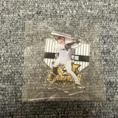 阪神タイガース 近本光司 アクスタくじ