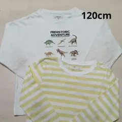 春服　キッズ長袖　無印　グローバルワーク　恐竜　ボーダー　120cm