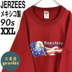 【人気アイテム】ジャージーズ☆スウェット　メキシコ製　90s イーグル　星条旗