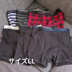 Hanes ボクサーブリーフ 6枚セット サイズLL