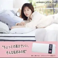 airweave ピロースリム みな実のまくら