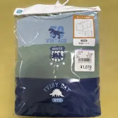 Item thumbnail for item e2e8deb2-9f84-4e20-b4ec-740908e6e72f