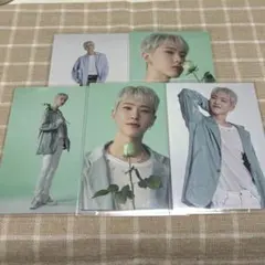 SEVENTEEN HANABI トレカ ホシ