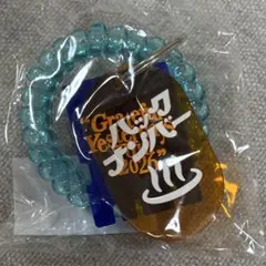 backnumber サウナキー 熊本 キーホルダーのサムネイル