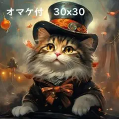 ダイヤモンドアートキット 30x30 おしゃれ猫 ビーズ刺繍 手芸 0049