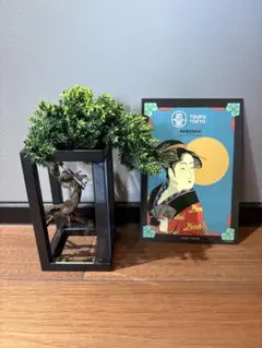 限定 RE BONSAI™︎ by TOUFU TOKYO 東富東京 リボンサイ - メルカリ