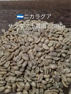 【生豆100g】ニカラグア サンタアナ農園 SHG 限定 格安 コーヒー豆のサムネイル