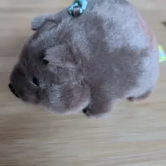 ウォンバット　ずんぐりウォンピー　マスコット