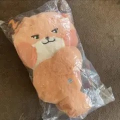 ZEROBASEONE ZB1 メテュ テュニニ ぬいぐるみバック ZEROBASEONE ZB1 メテュ テュニニ ぬいぐるみバック - メルカリ