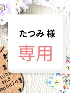 たつみ@ 様　専用ページ