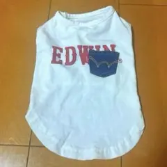 犬服 EDWIN Mサイズ