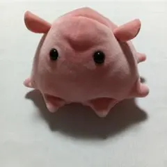 海中散歩　めんだこ　ぬいぐるみのサムネイル