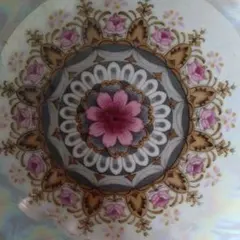 大皿 深皿 花模様