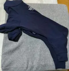 Item thumbnail for item e3d9554d-e931-4d01-9362-dc0d95223e26