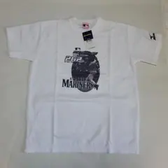 Item thumbnail for item 80809f04-351b-4bc3-9e08-c45fe705e358