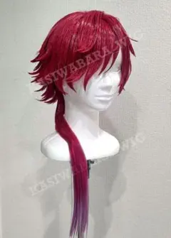 にじさんじ ローレン コスプレ衣装 ウィッグ - メルカリ