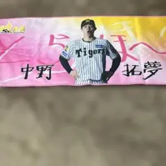 2026年最新】勝利時限定シークレットタオルの人気アイテム - メルカリ