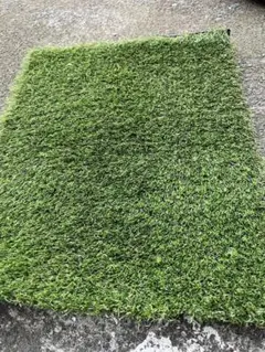 Item thumbnail for item b36a22c0-56c9-46c1-a0a3-3e26ace485eb