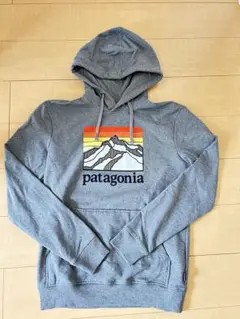 patagonia グレー フード付きパーカー　メンズ