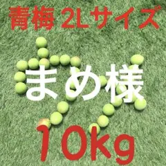 207 ぶぶ様 青梅 2Lサイズ 10kg - メルカリ