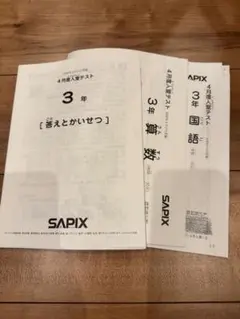 2026年最新】sapix 入室テスト 新2年の人気アイテム - メルカリ