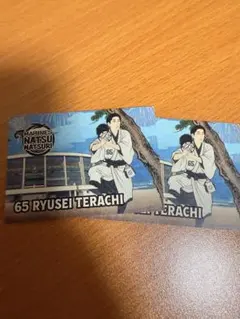 千葉ロッテマリーンズ　寺地隆成