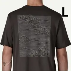 新品完売品　パタゴニア キャプリーンクールデイリーグラフィックシャツ 入手困難