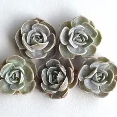 ひろりん様 リクエスト 3点 まとめ商品