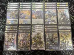 翌日発送メルカリ便】CS入賞 トリーヴァアルファディオス デッキ