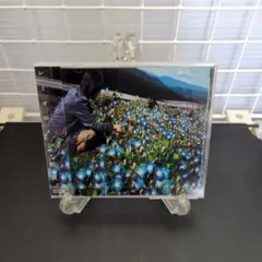 レミオロメン 朝顔 CD