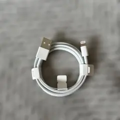 USB Lightning 充電ケーブル ホワイト