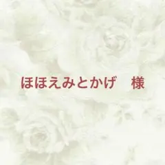 ほほえみとかげ☆プロフ確認☆様 リクエスト 3点 まとめ商品