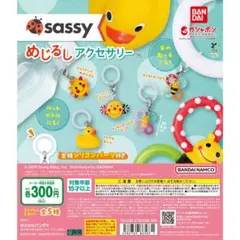 Sassy めじるしアクセサリー
