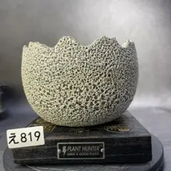 え819 植木鉢のサムネイル