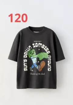 ZARAキッズマイクラTシャツ120のサムネイル