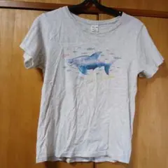 Bleu Bleuet 　鮫プリント 　半袖Tシャツ　シャーク　フィッシュ