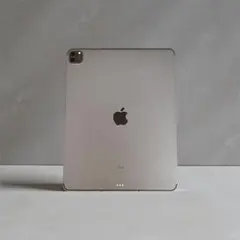 iPad Pro第5世代 12.9インチ 1TB wi-fi +cellular