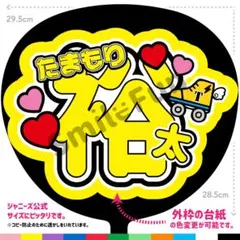 N-1231-02 ファンサうちわ うちわ文字 コンサートうちわ 団扇文字