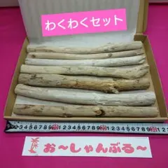 流木セットno.422