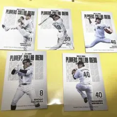 ロッテカード5枚セット　澤村選手　ソト選手　岩下選手　中村選手　西村選手