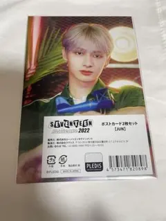 新品未開封 SEVENTEEN MUSEUM 2022年 ポストカード ジュン
