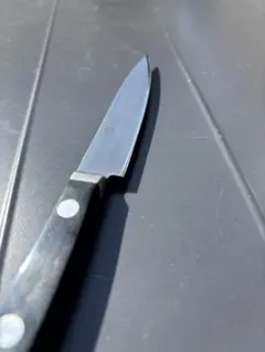 KANEHIRO 兼広 モリブデン鋼 筋引包丁 270mm - メルカリ