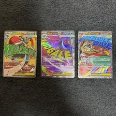 D*ʔ様 メガゲンガーexmaメガルカリオ MAメガルチャブル MA