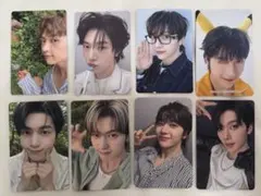 ゼベワン マシュー トレカ